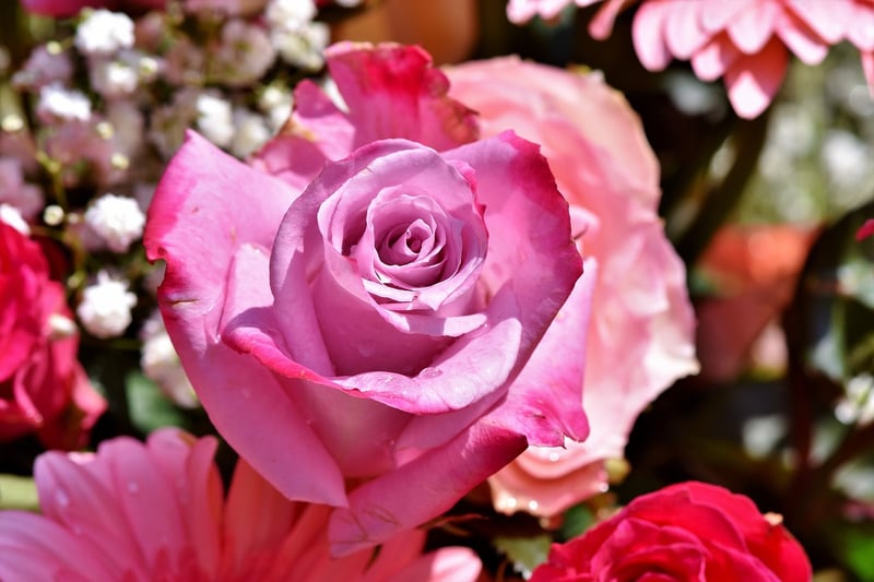 Whispering Rose Estate